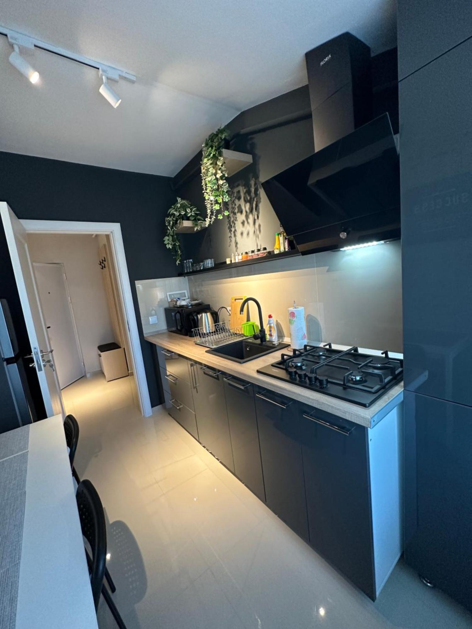 Complex Rediu 54 Luxury Apartaments Ιάσιο Εξωτερικό φωτογραφία